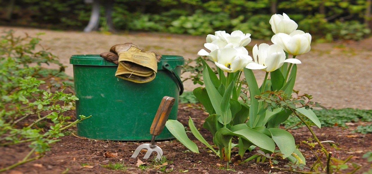 nettoyer votre jardin à coup d'huile de coude