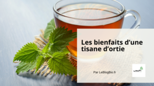 Les bienfaits d'une tisane d'ortie - Le Blog Bio Ecoresponsable - LeBlogBio.fr