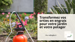 Transformez vos orties en engrais pour votre jardin et votre potager - - Le Blog Bio Ecoresponsable - LeBlogBio.fr
