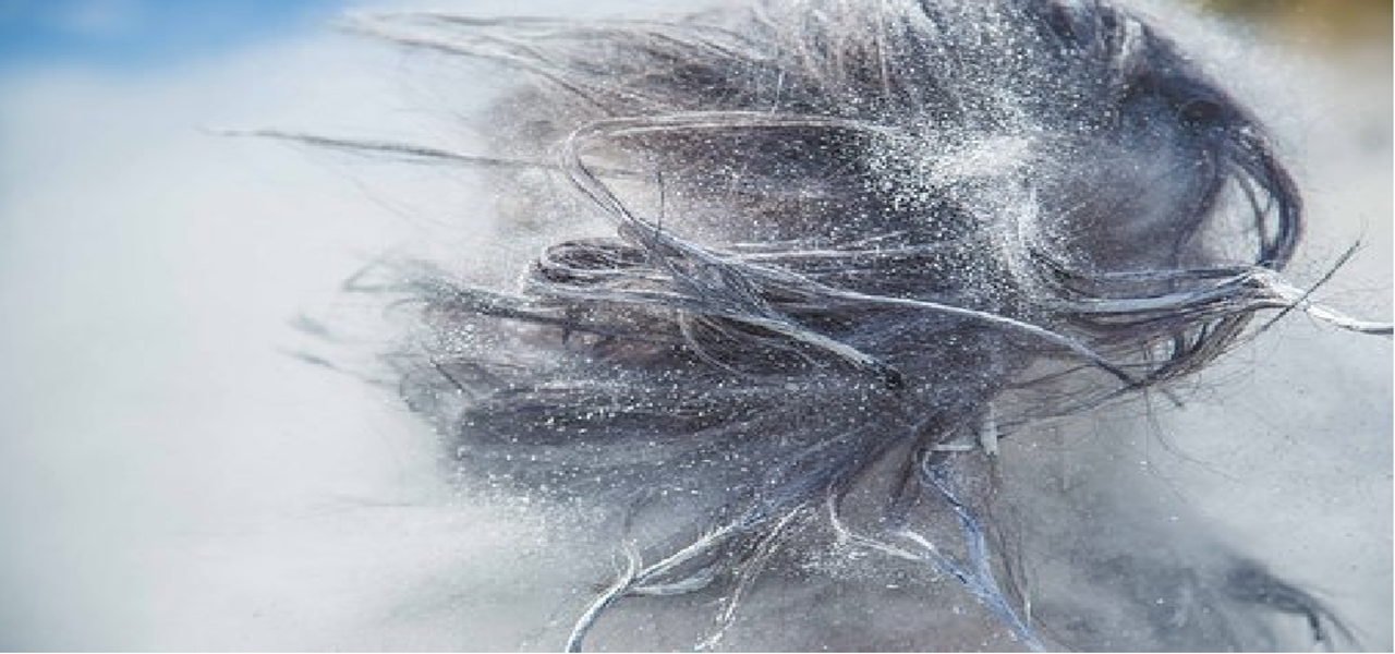 Chaque poudre à sa propriété et s'adapte à un type de cheveux. Vous retrouverez les différentes poudres naturelles dans cet article.