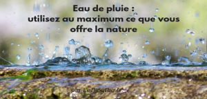 Eau de pluie : utilisez ce que vous offre la nature
