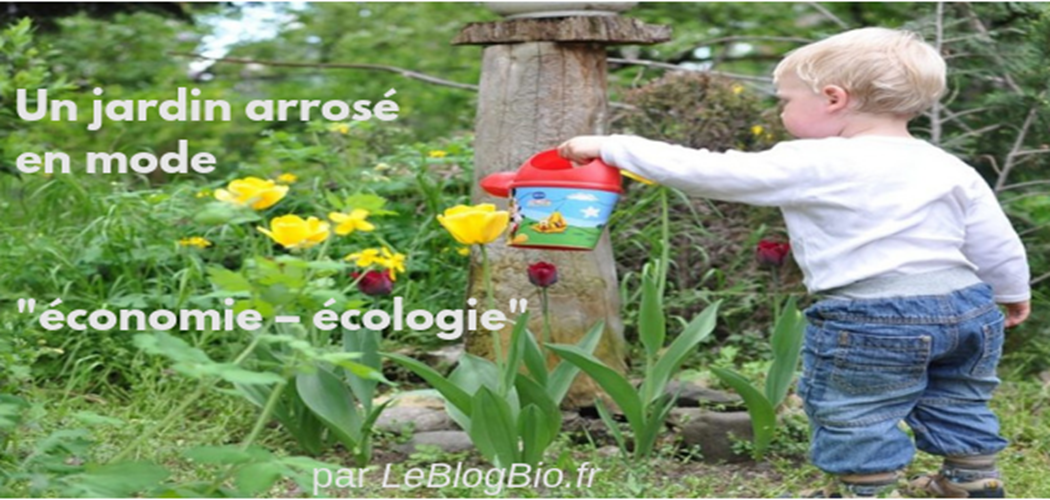 Un jardin arrosé en mode zéro déchet
