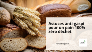 Astuces anti-gaspi pour un pain 100% zéro déchet - article par Le Blog Bio - LeBlogBio Ecoresponsable