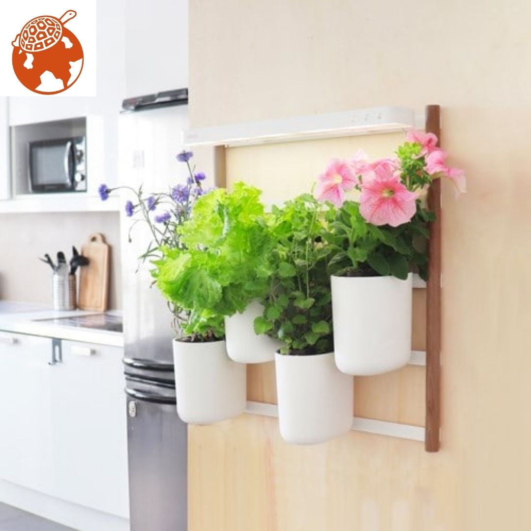 Potager d'intérieur Modulo en bois
