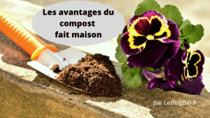 Les avantages à composter à la maison