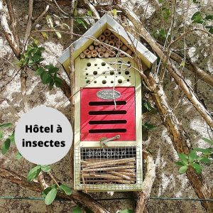 Mon Petit Coin Vert - Hotel à insectes