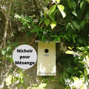 Nichoir pour Mésange chez Mon Petit Coin Vert
