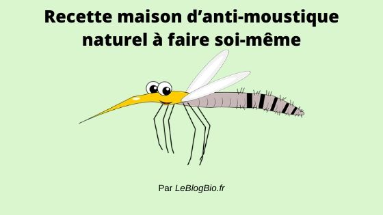 Recette DIY d’anti-moustique naturel et fait maison