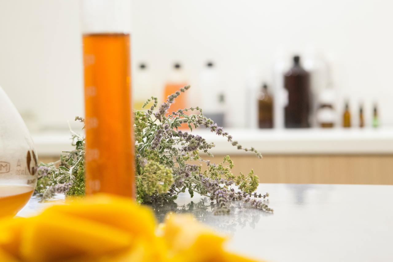 Des astuces bio pour se débarrasser de l'humidité dans la maison en hiver