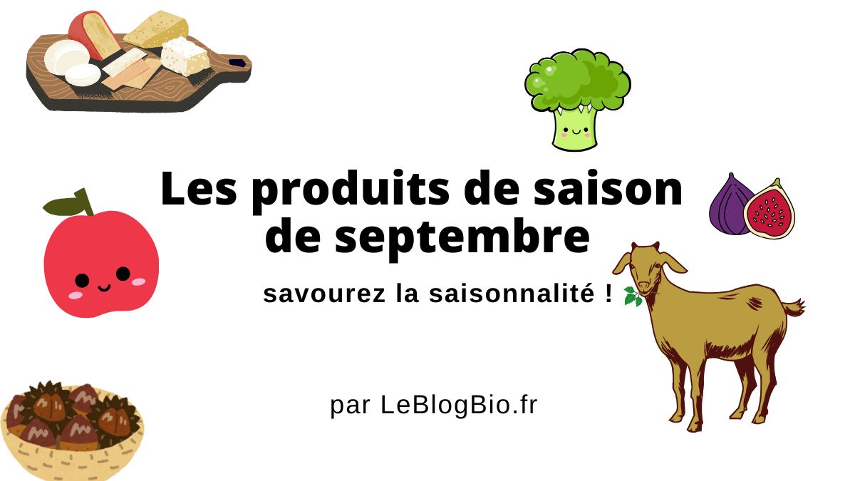 Découvrez la liste des fruits et légumes de saison en septembre, mise à jour pour 2025