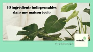 10 ingrédients indispensables dans une maison écolo par LeBlogBio