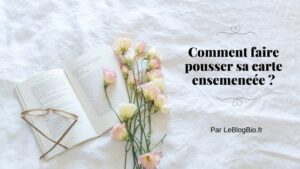 Comment faire pousser sa carte ensemencée - Article Le Blog Bio . LeBlogBio.fr