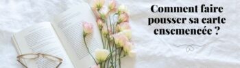 Comment faire pousser sa carte ensemencée - Article Le Blog Bio . LeBlogBio.fr