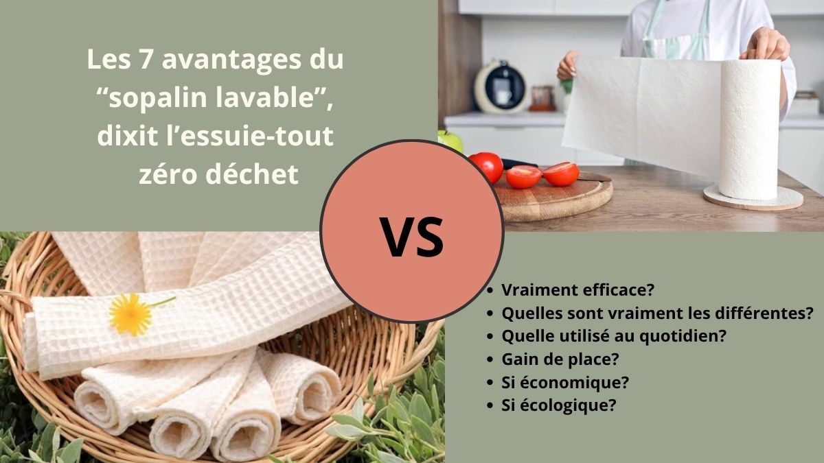 Les 7 avantages du sopalin lavable face à l'essuie-tout jetable