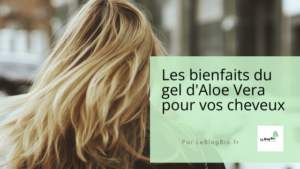 Les bienfaits et usages du gel d'Aloe Vera pour vos cheveux par LeBlogBio.fr - Le Blog Bio Ecoresponsable