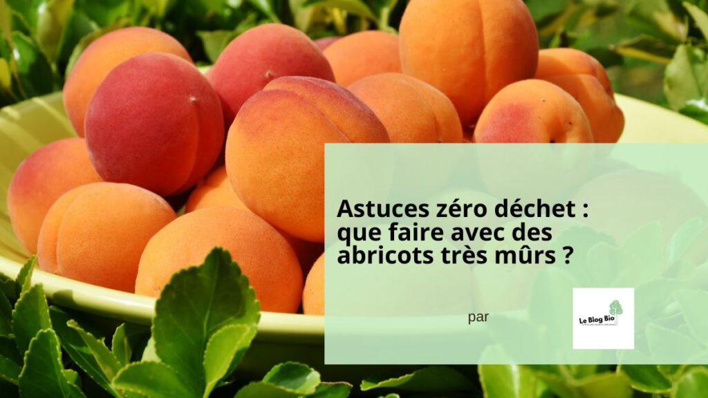 Astuces zéro déchet que faire avec des abricots très mûrs Cuisine en mode zéro déchet. Astuces antigaspi Le BLog Bio - LeBlogBio.fr