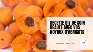 Recette DIY de soin beauté avec vos noyaux d'abricots - Le Blog Bio - Leblogbio Ecoresponsable