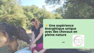 Expérience énergétique avec chevaux – Libourne - Bordeaux - Gironde