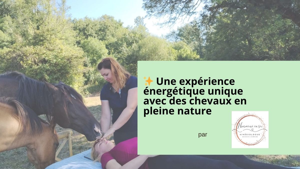 Expérience énergétique avec chevaux – Libourne - Bordeaux - Gironde