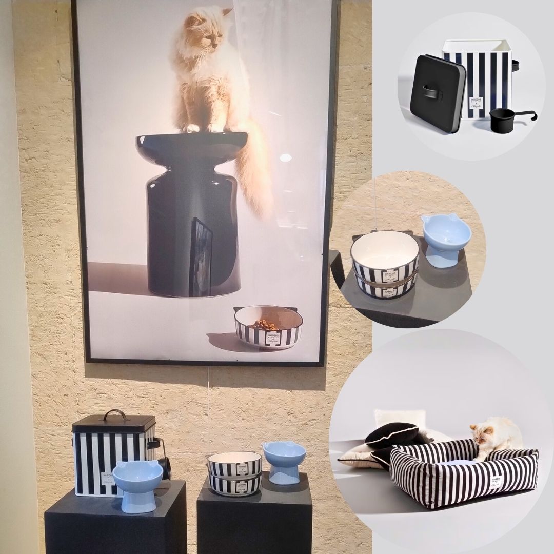 Collection Maisons du Monde x Choupette pour chats