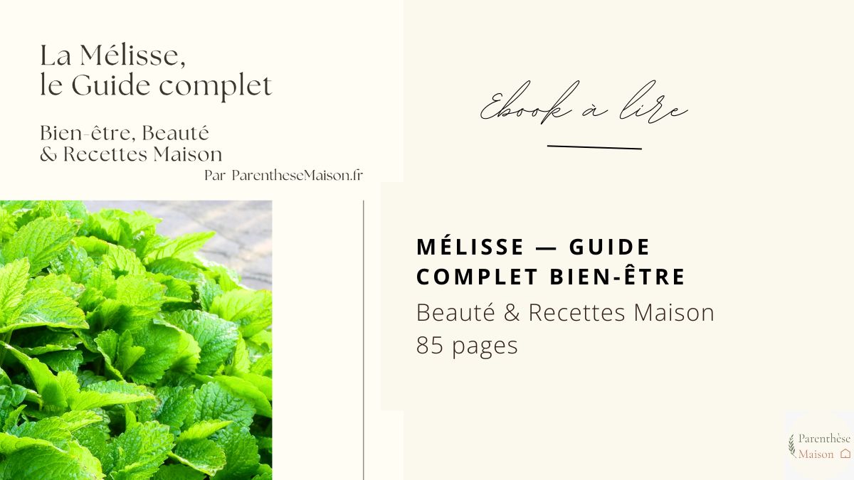 Livre à lire : Mélisse — Guide complet Bien-être, Beauté & Recettes Maison . Avis du blog Parenthèse Maison