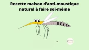 Recette DIY d’anti-moustique naturel et fait maison