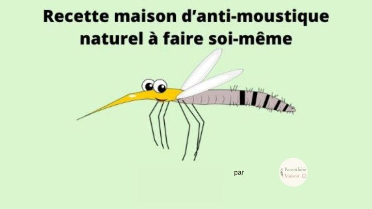 Recette DIY d’anti-moustique naturel et fait maison