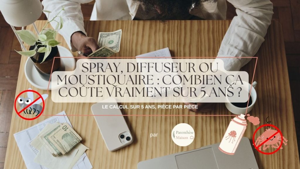 Comparatif budget spray antimoustique diffuseur électrique et moustiquaire sur 5 ans