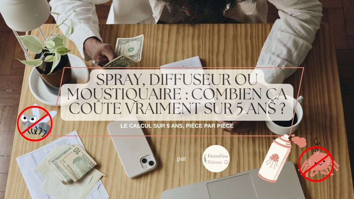 Comparatif budget spray antimoustique diffuseur électrique et moustiquaire sur 5 ans