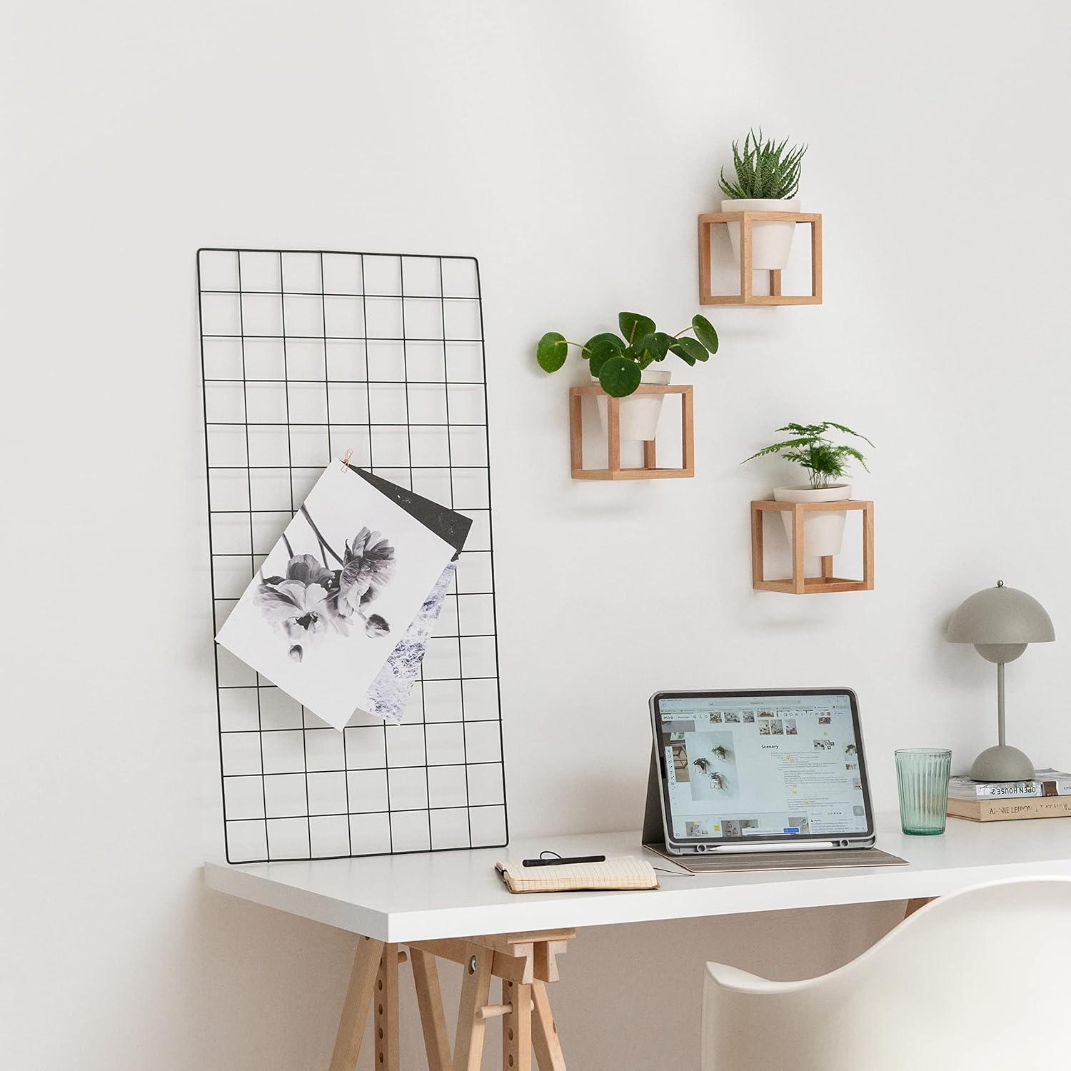 Décoration murale avec des plantes d'intérieur